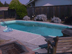 pool1thumb.GIF (11353 bytes)